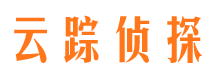 平和市私家侦探